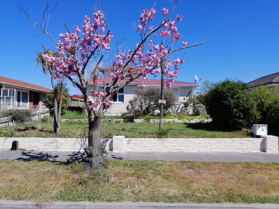 Homestay Family Room, Near The City Center Christchurch Exterior foto